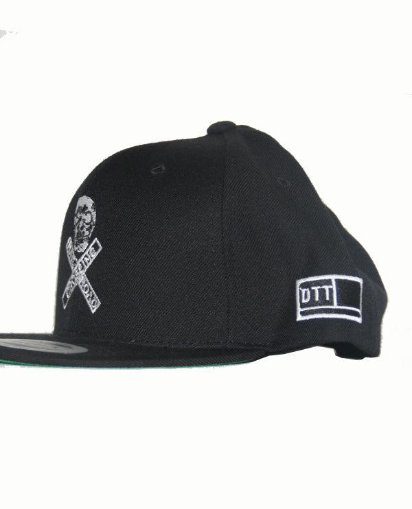 Skull Crossing Snap Back