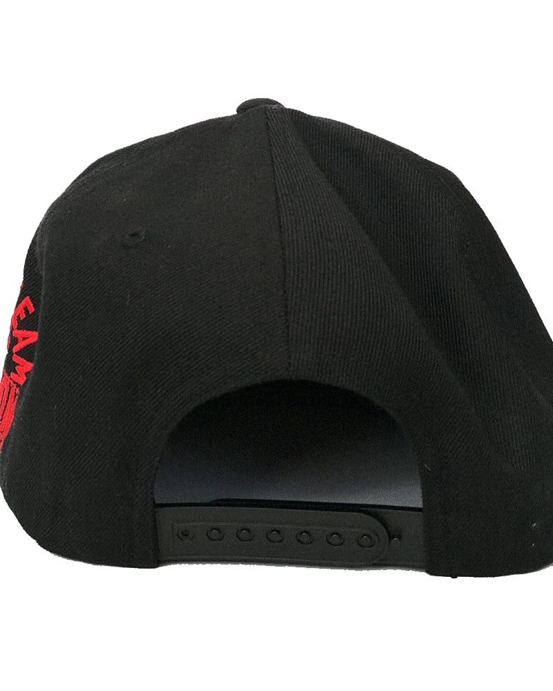 D.A.D.E. Home Team Snap Back